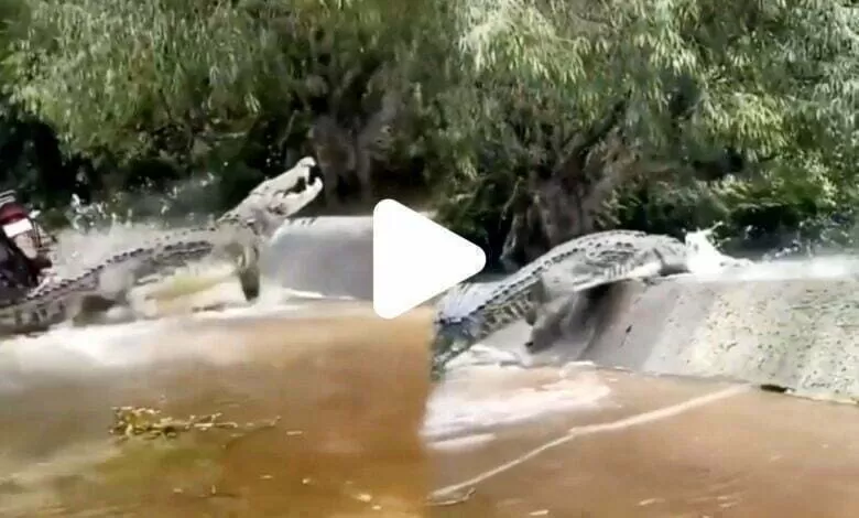 PicsArt 05 25 07.55.18