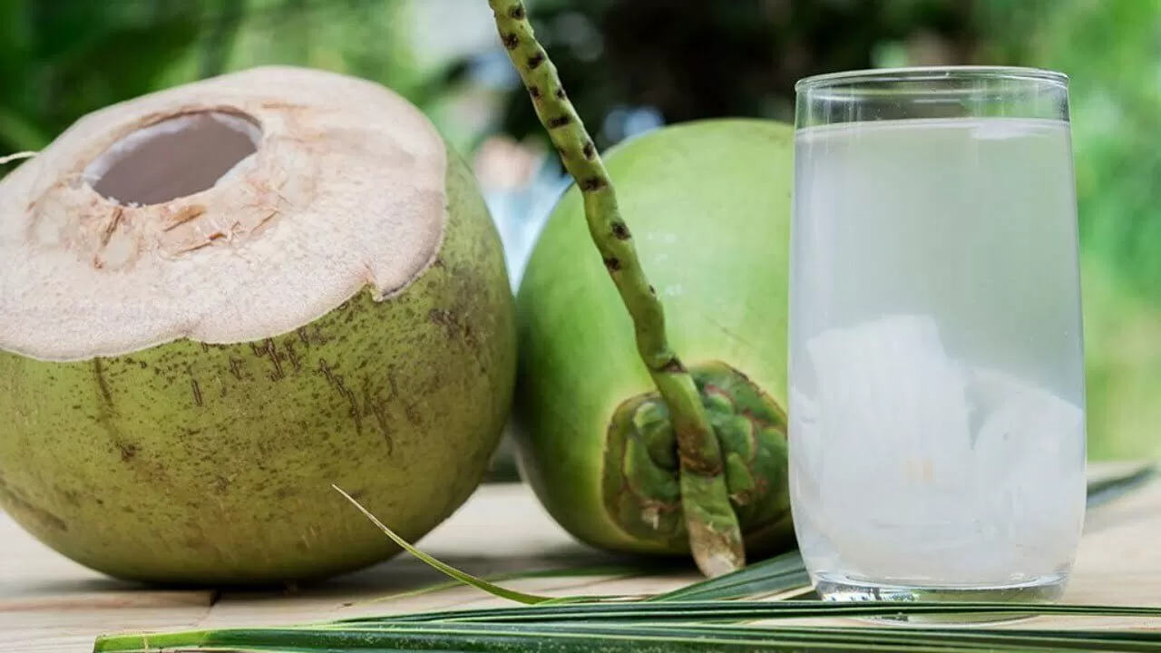 Coconut water benifits : প্রেগন্যান্ট অবস্থায় এইভাবে পান করুন নারকেলের জল, পাবেন ৫টি উপকার 9 PicsArt 05 27 03.19.44