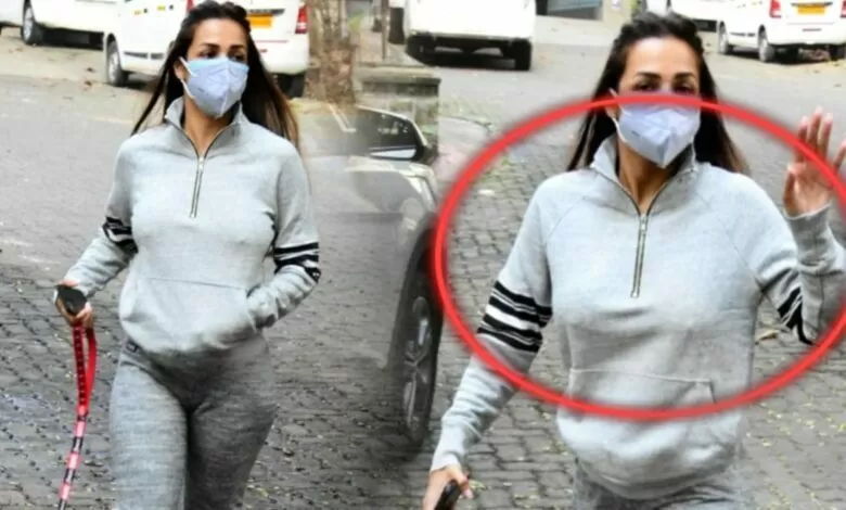 Malaika Arora : মুখে ডবল মাস্ক, অথচ পড়তে ভুলে গেছে অন্তর্বাস! মর্নিং ওয়াকে বেরিয়ে কটাক্ষের শিকার মালাইকা 1 PicsArt 06 20 09.36.51