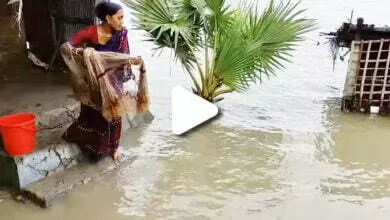 Viral video : বন্যায় বারান্দায় দাড়িয়ে বাড়ির উঠানেই মাছ ধরছে এক মহিলা, দেখুন ভাইরাল ভিডিও 15 PicsArt 07 03 03.17.26