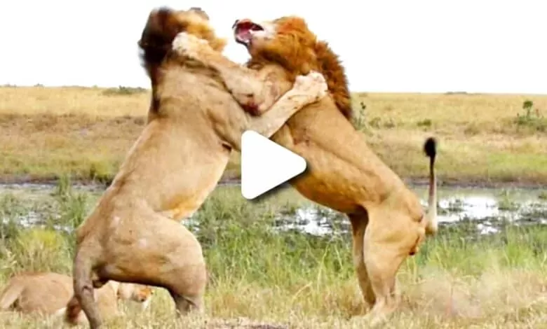 PicsArt 08 01 07.21.59