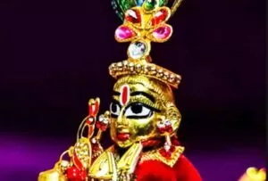Sri krishna janmastami gopal