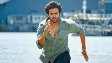 Shehzada Box Office Collection : 'ভুল ভালাইয়া 2'-এর রেকর্ড কি ভাঙতে পারলো কার্তিক আরিয়ানের 'শেহজাদা'! দেখুন প্রথম দিনের আয় 9 Shehzada Box Office Collection