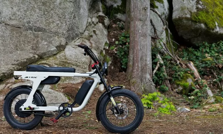 Eunoro Flash electric cycle1