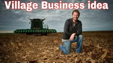 Village Business idea : একবার এই ফসল লাগালে ৪ বছরে আয় হবে লাখ টাকা, জেনে নিন প্রসেস 4 Village Business idea1