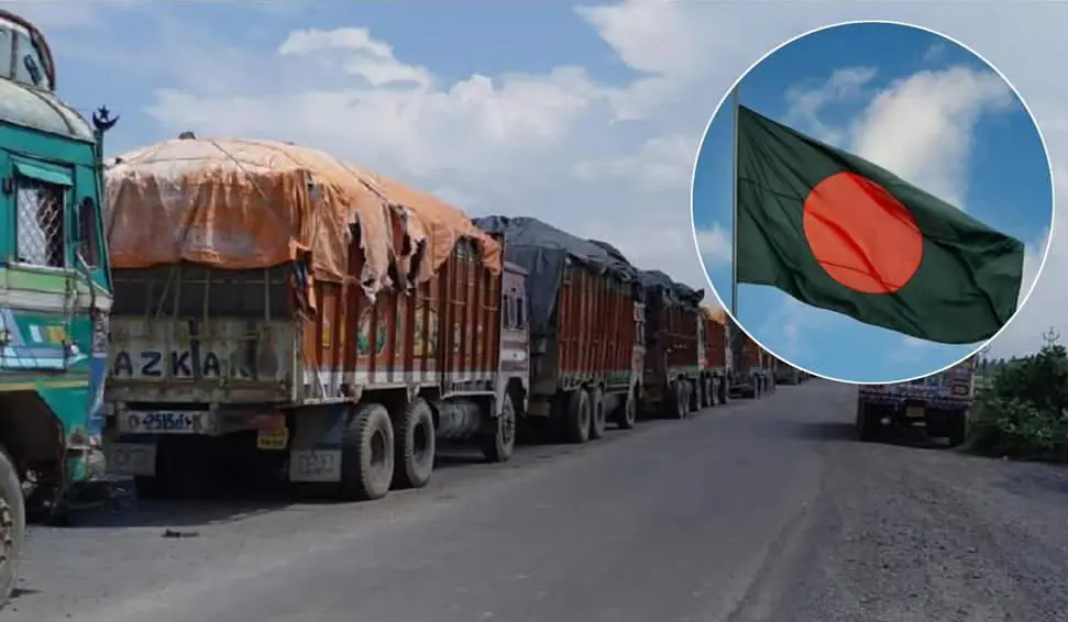 Picsart 25 05 19 10 00 18 282